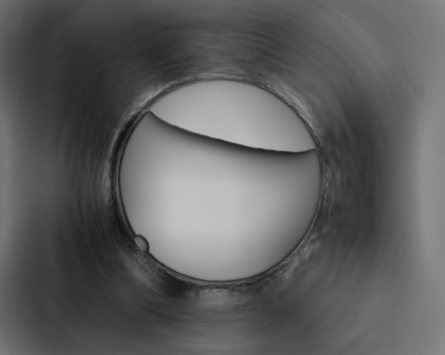 X0000088190298200705151005