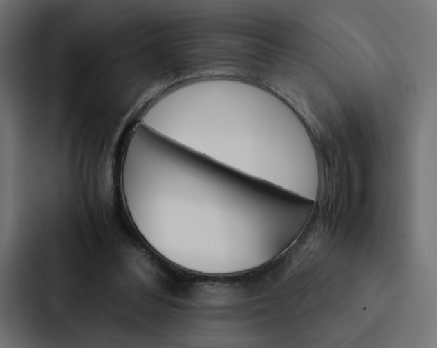 X0000088190300200705151005