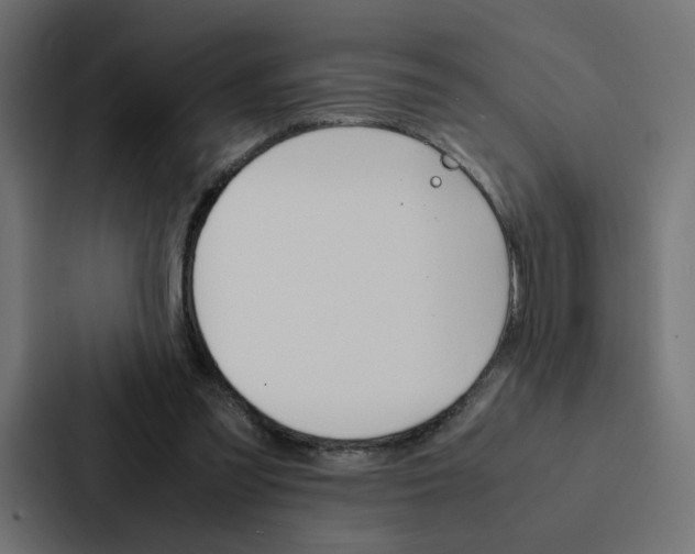 X0000088190301200705151005