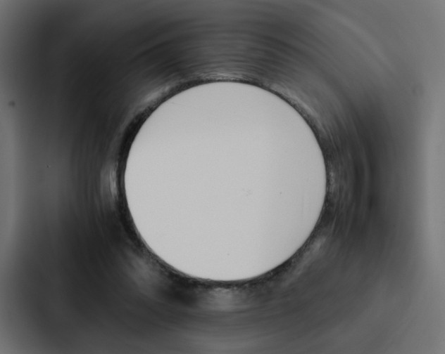 X0000088190302200705151005