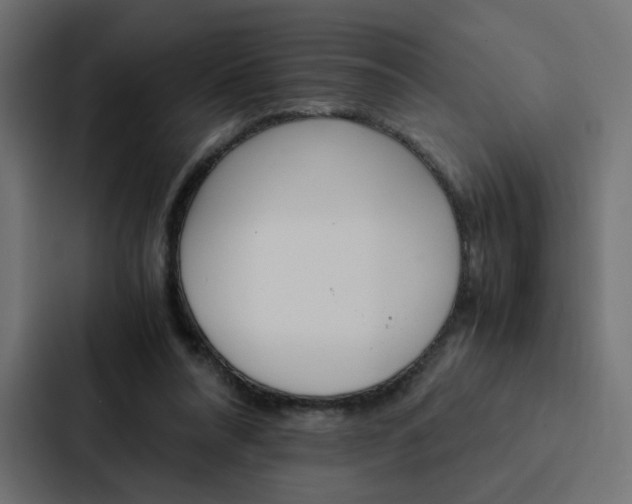 X0000088190304200705151004