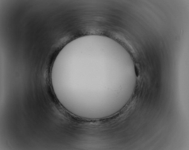 X0000088190306200705151004