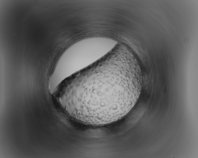 X0000088190307200705151004