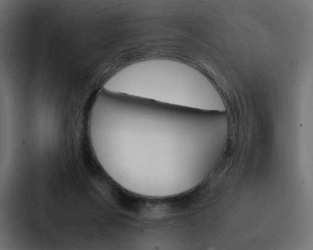 X0000088190311200705151004