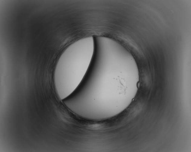 X0000088190312200705151004