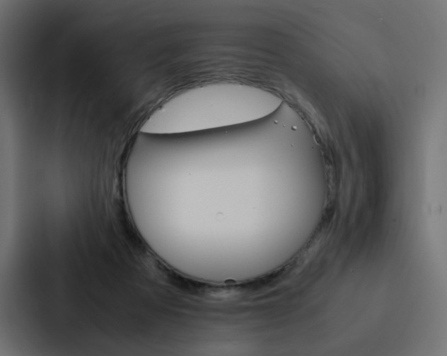 X0000088190313200705151004