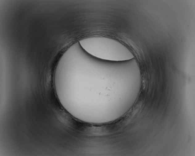 X0000088190314200705151004