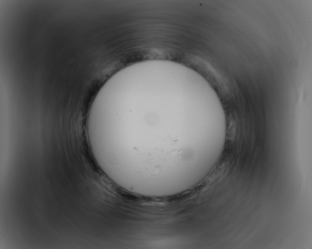 X0000088190318200705151004