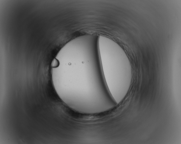 X0000088190319200705151004