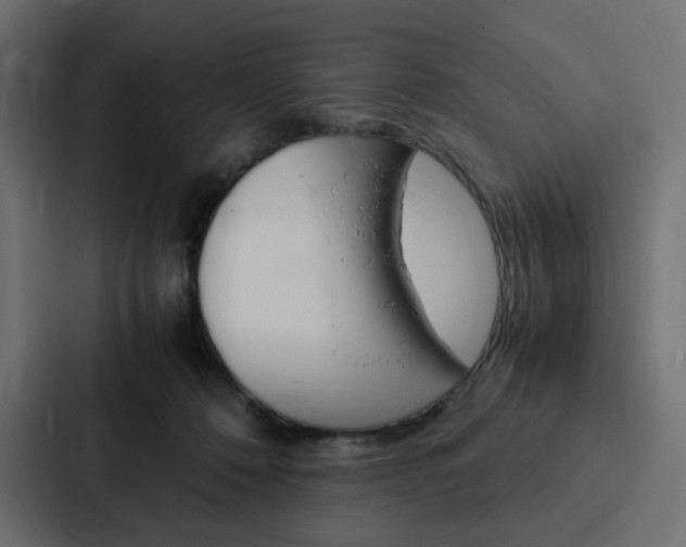 X0000088190320200705151004