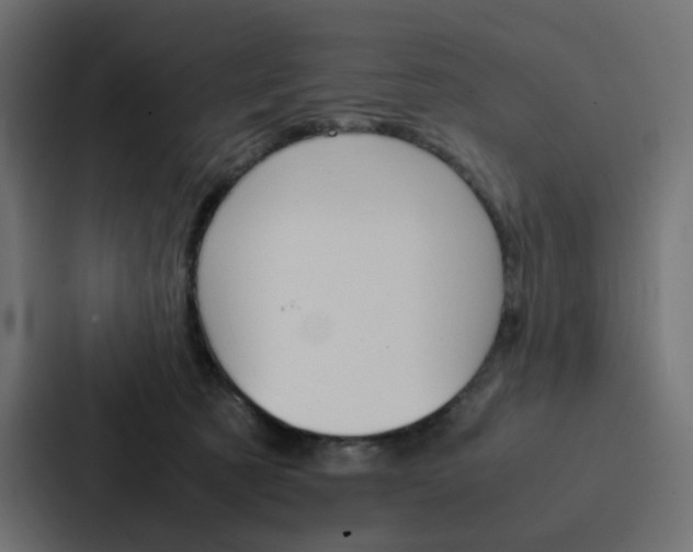 X0000088190321200705151004