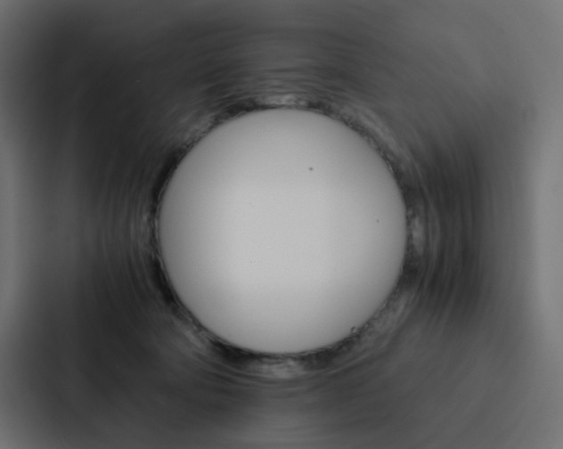 X0000088190322200705151004