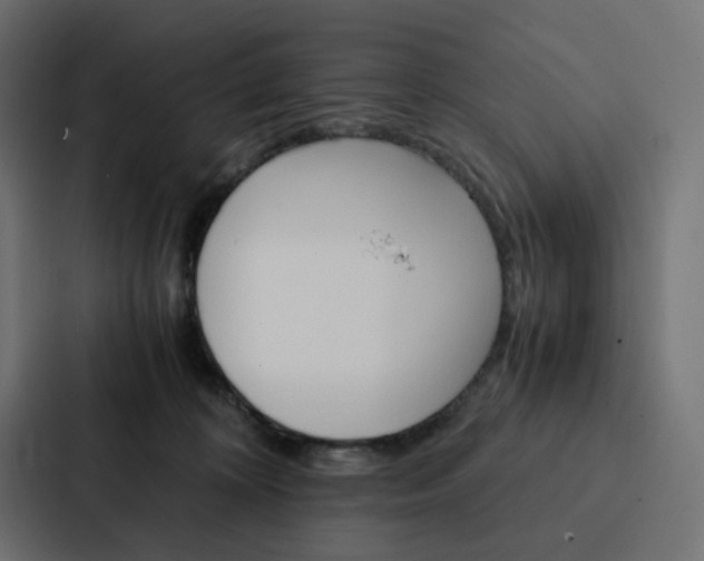 X0000088190324200705151004