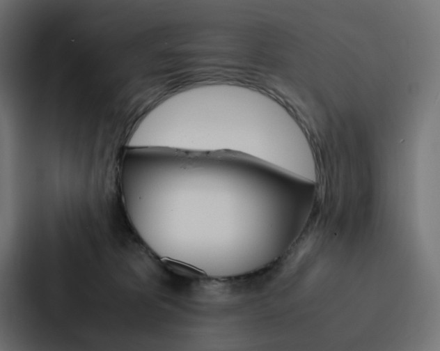 X0000088190325200705151004