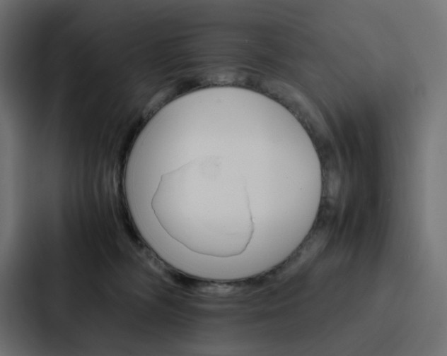 X0000088190326200705151004