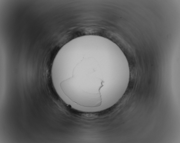 X0000088190327200705151004