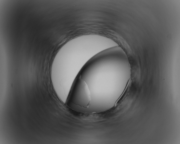 X0000088190329200705151004