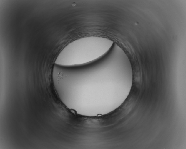 X0000088190332200705151004