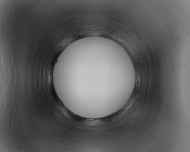 X0000088190334200705151004
