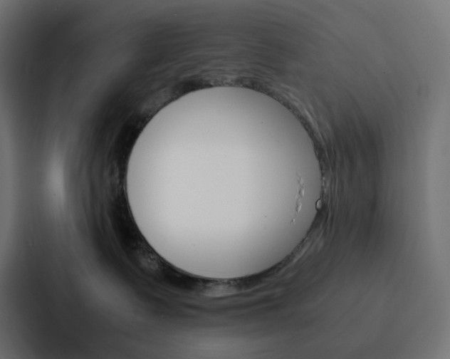 X0000088190335200705151004