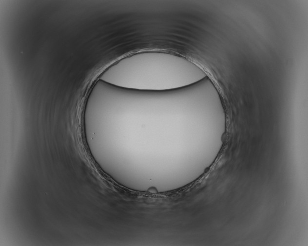 X0000088190337200705151003