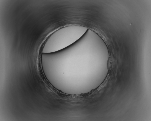 X0000088190338200705151003