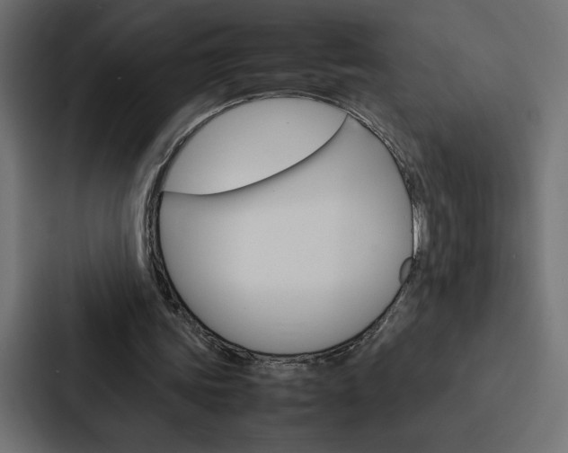X0000088190339200705151003