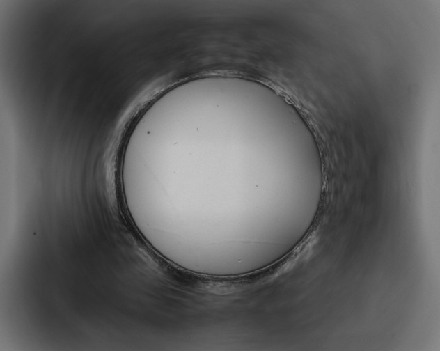 X0000088190341200705151004