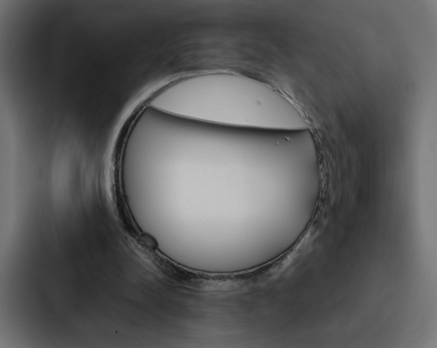 X0000088190342200705151004
