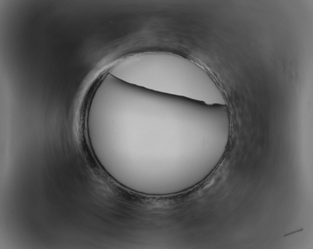 X0000088190343200705151004