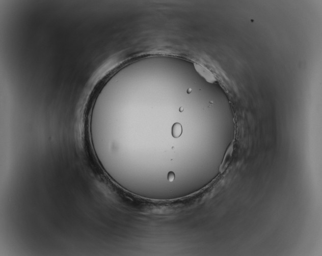 X0000088190344200705151004