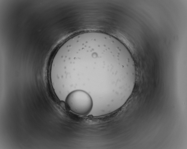 X0000088190346200705151004