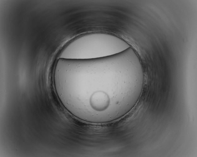 X0000088190347200705151004