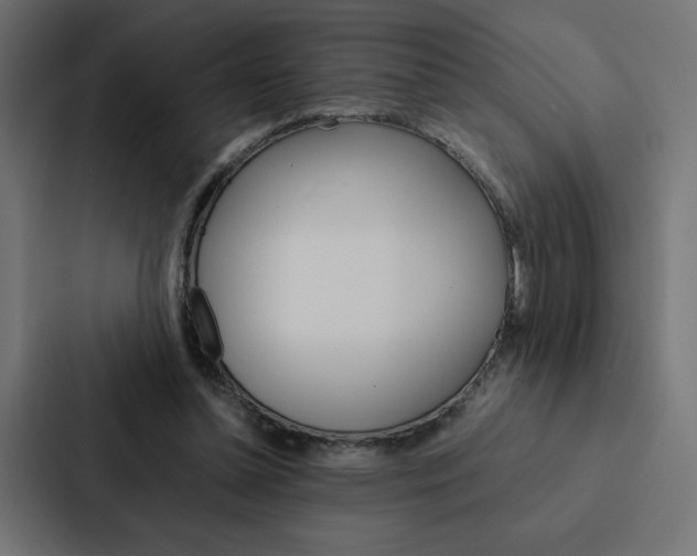 X0000088190348200705151004