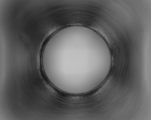 X0000088190349200705151004