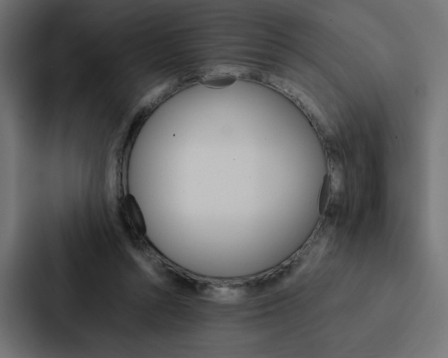 X0000088190352200705151004