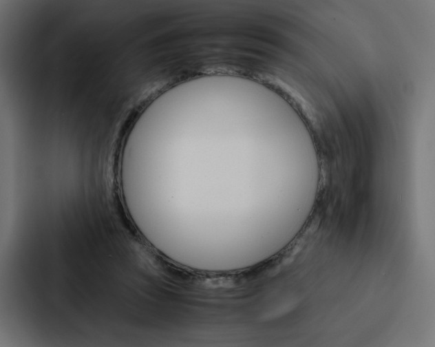 X0000088190353200705151004