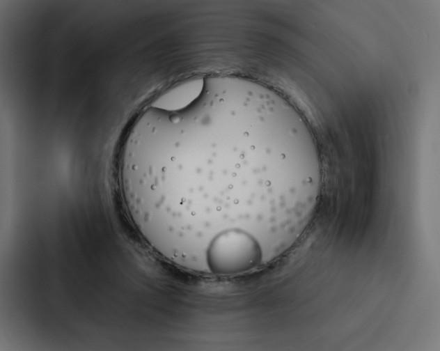 X0000088190354200705151004