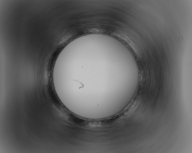 X0000088190355200705151004