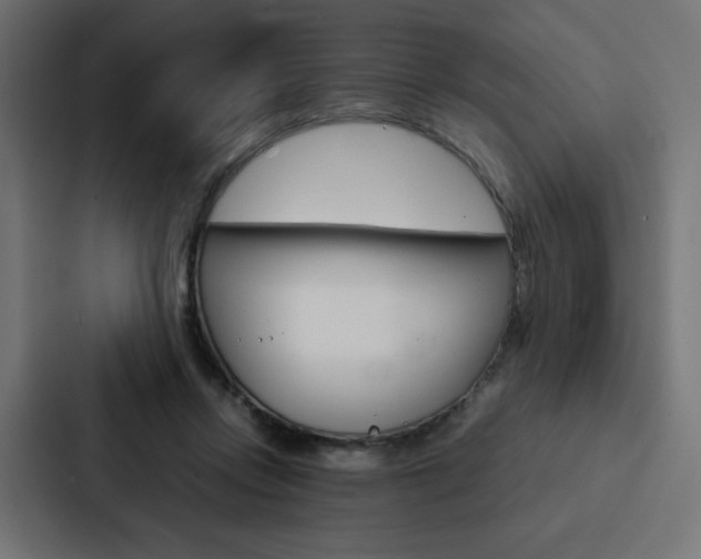 X0000088190358200705151004