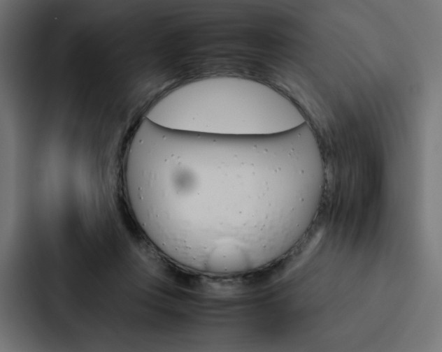 X0000088190359200705151004