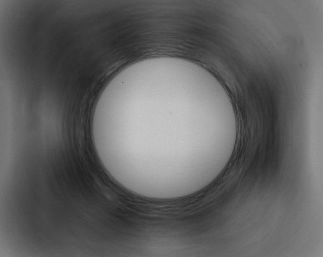 X0000088190360200705151004