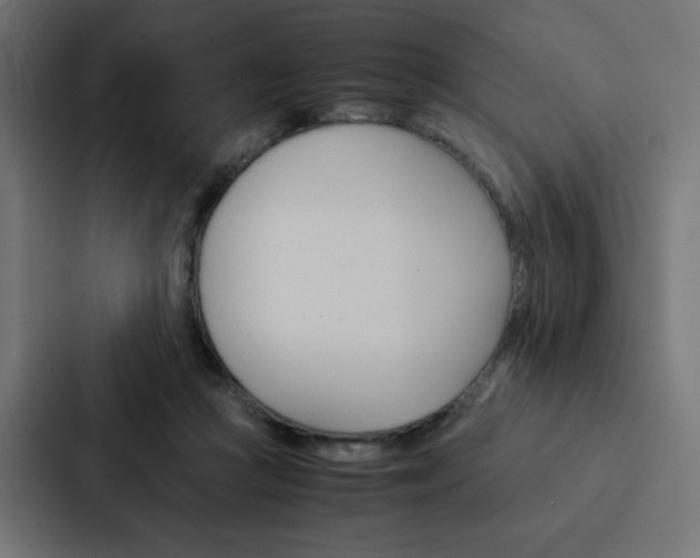 X0000088190361200705151004