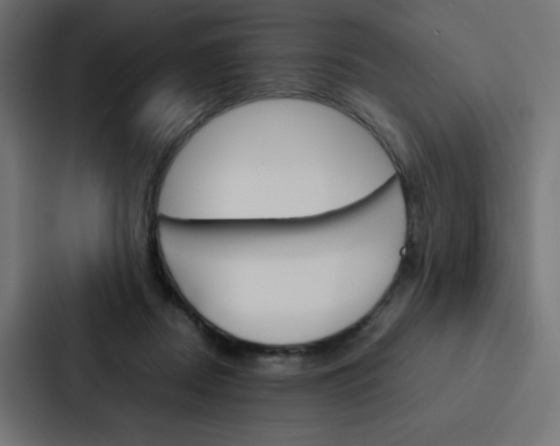 X0000088190362200705151004