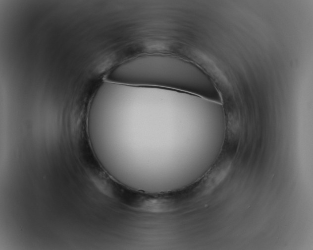 X0000088190364200705151004