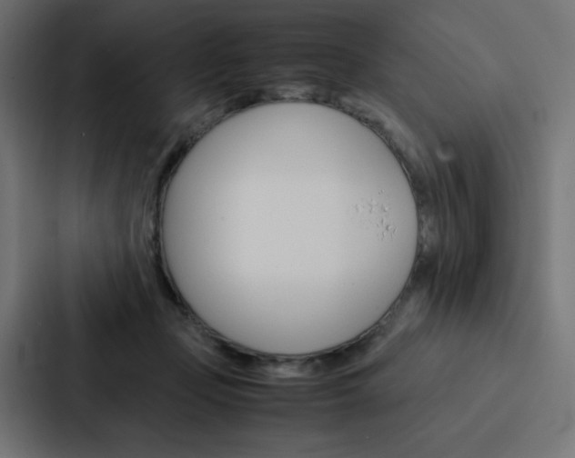 X0000088190365200705151004