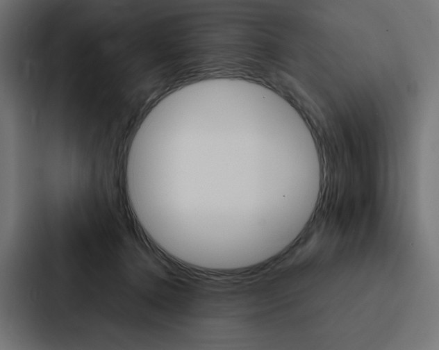 X0000088190368200705151004
