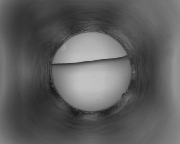 X0000088190369200705151004