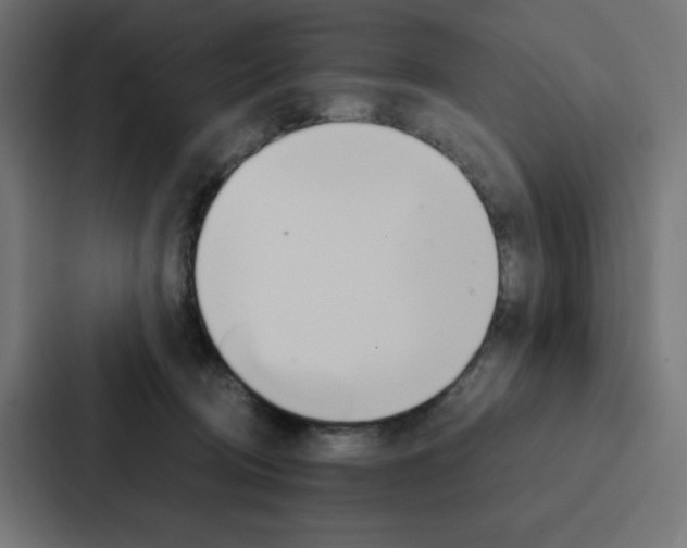 X0000088190370200705151004