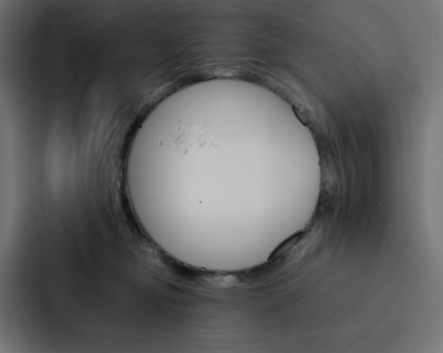 X0000088190374200705151004